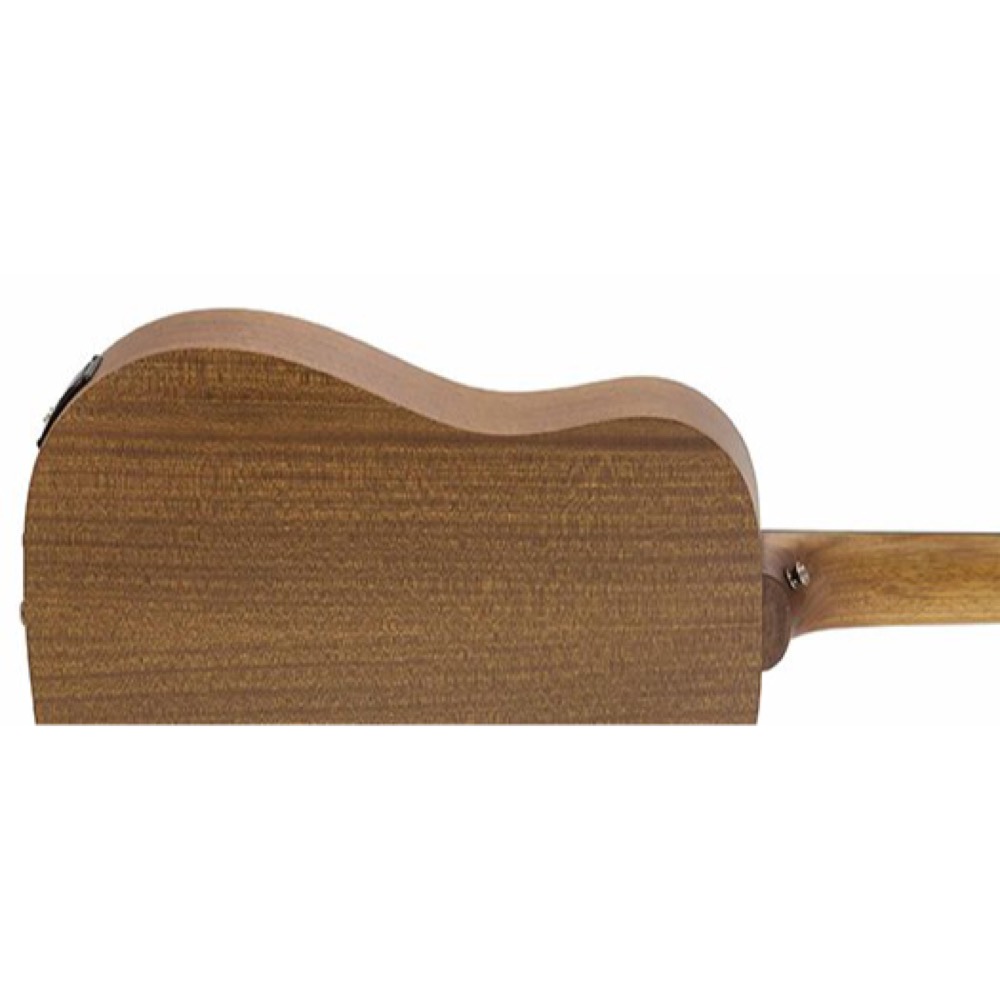 TRAVELER GUITAR トラベラーギター Redlands Dreadnought Spruce エレクトリックアコースティックギター ボディバック画像