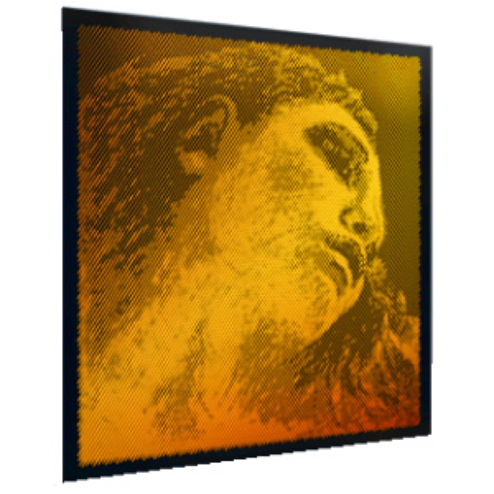 PIRASTRO ピラストロ バイオリン弦 Evah Pirazzi Gold 415221 エヴァ ピラッツィゴールド A線 アルミ