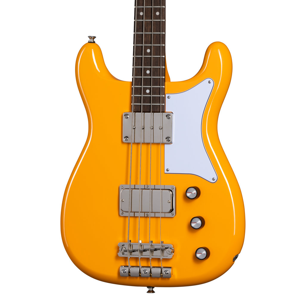 Epiphone Newport Bass California Coral エレキベース ボディトップ