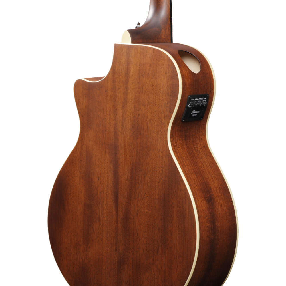 IBANEZ アイバニーズ AE100-DBF エレクトリックアコースティックギター IBANEZ アイバニーズ AE100-DBF エレクトリックアコースティックギター ボディ画像