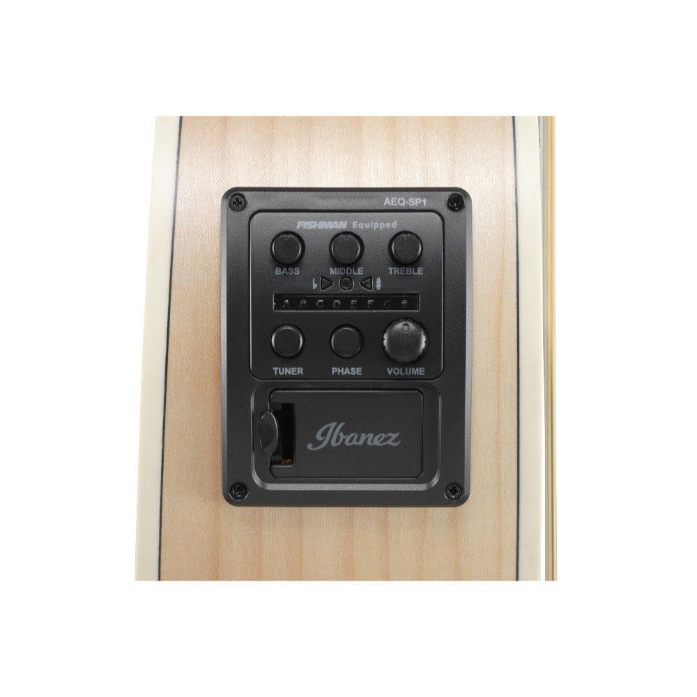Ibanez アイバニーズ PN29E-OPN エレクトリックアコースティックギター プリアンプ