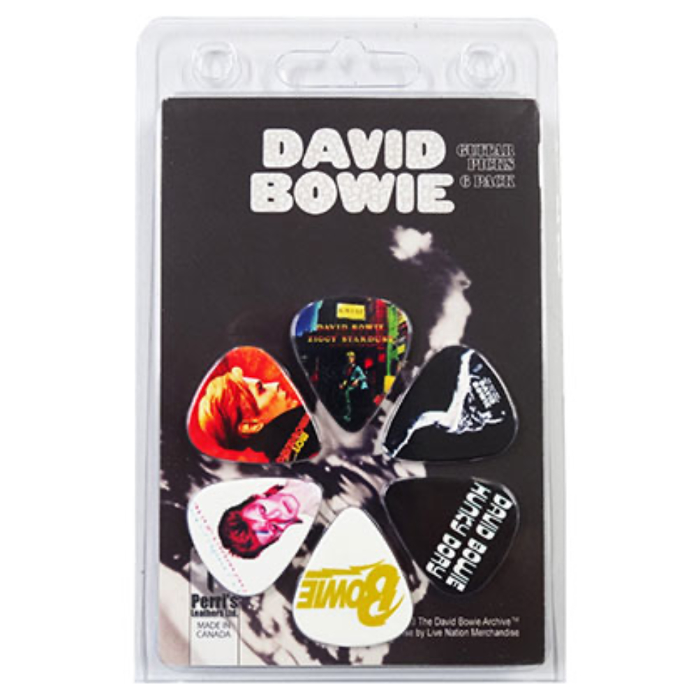 Perri’s ペリーズ LP-DB2 DAVID BOWIE デヴィッドボウイ 6PICKS Guitar Pick ギターピックセット