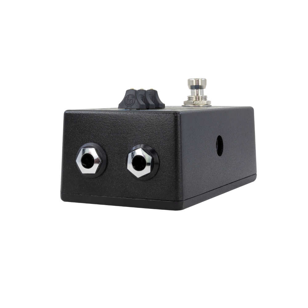 WALRUS AUDIO ウォルラスオーディオ Fundamental Ambient リバーブ ギターエフェクター IN/OUT端子