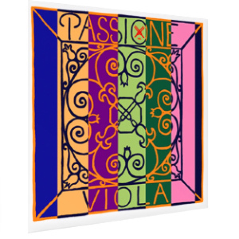 Pirastro（ピラストロ）社／Passione（パッシオーネ） 81-YxWPGy8L.jpg_BO30,255,255,