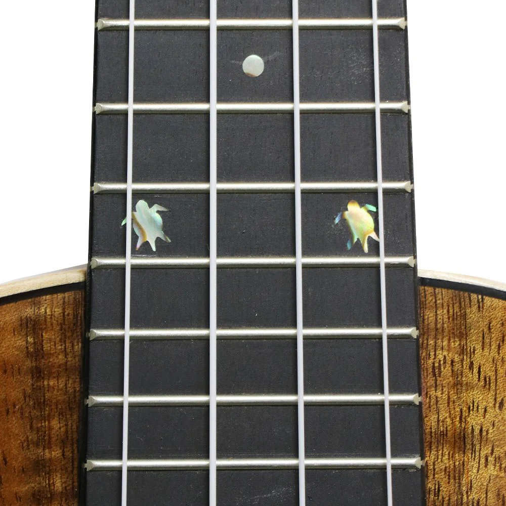 BIG ISLAND ビッグアイランド KM-SPG ソプラノウクレレ 指板画像