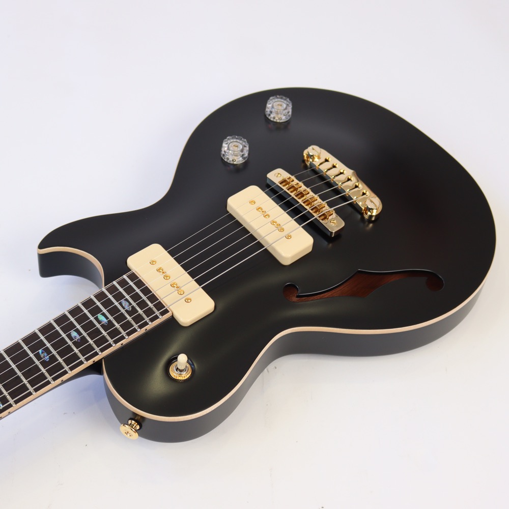 APII PE-5350GE/SH MTBK エレキギター ボディトップ画像