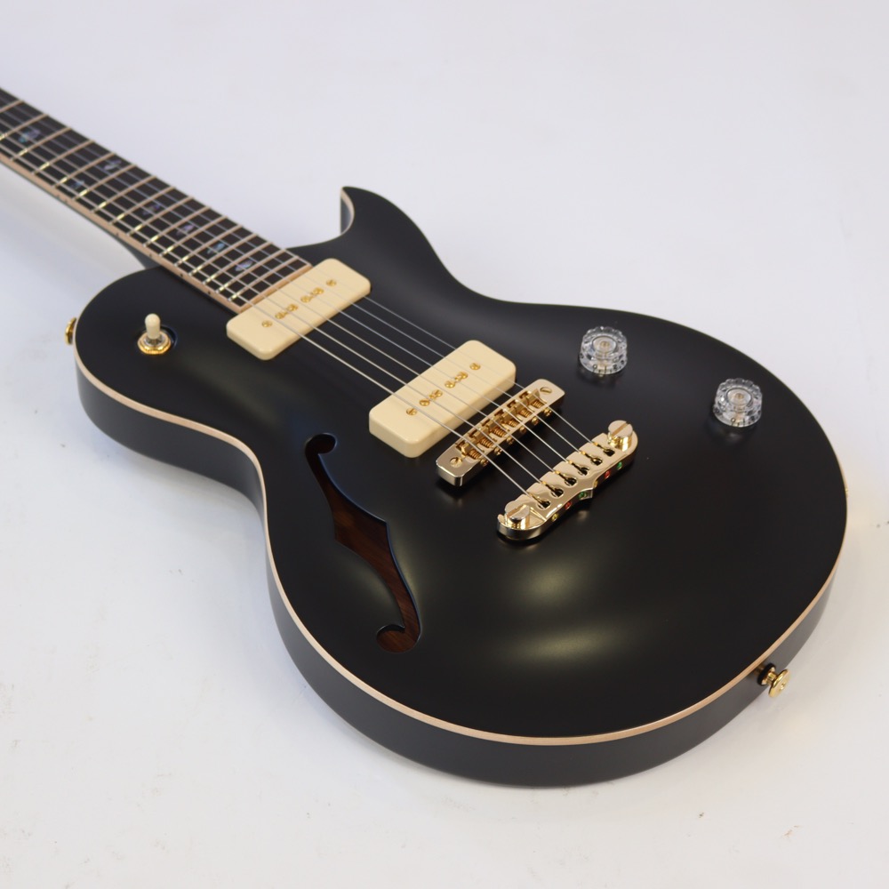 APII PE-5350GE/SH MTBK エレキギター ボディトップ画像