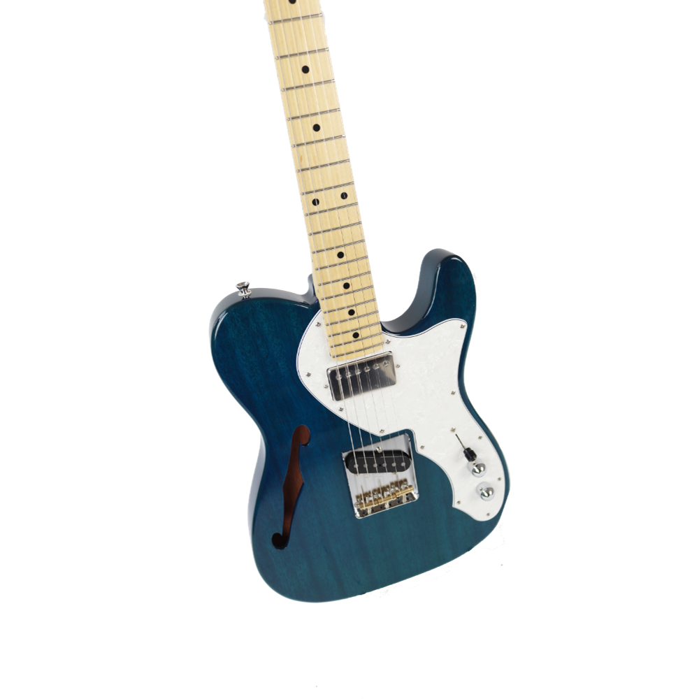 Fujigen フジゲン FGN NCMG-10R/AL/SBL ソニックブルー