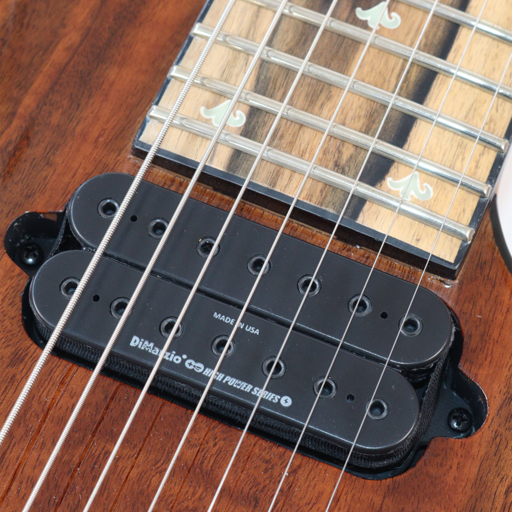 【訳あり】アウトレット B.C.Rich SHREDZILLA 7 PROPHECY ARCHTOP WITH EVERTUNE English Walnut 7弦エレキギター PU