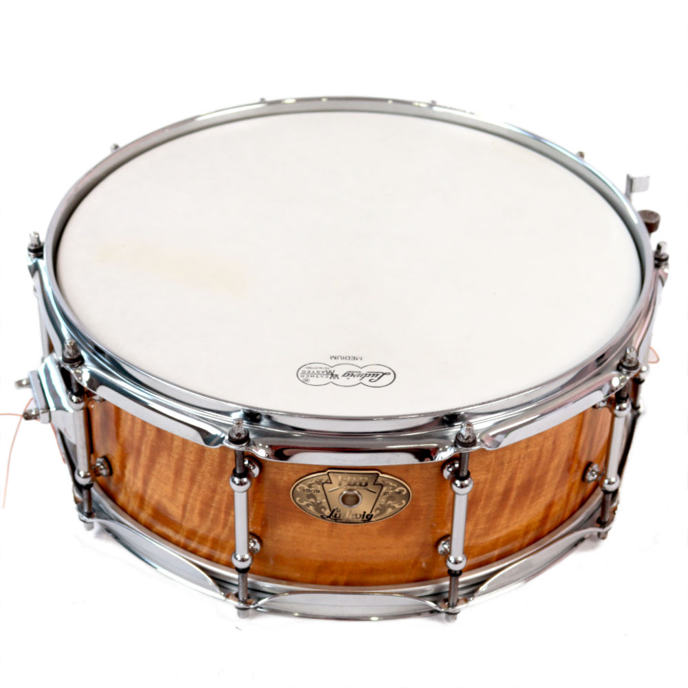 Ludwig Maple スネア 14 