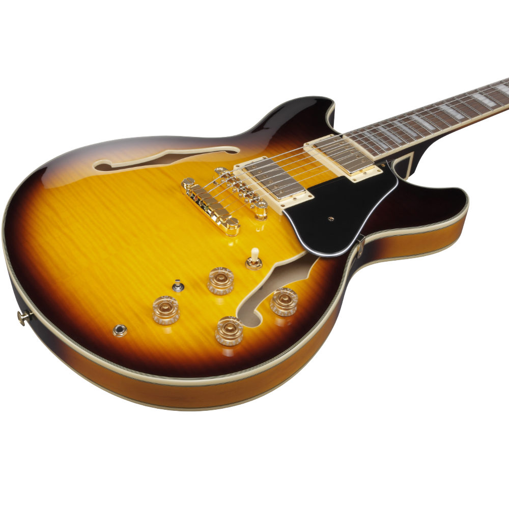 IBANEZ アイバニーズ JSM10EM-TTB John Scofield Signature Model TTB エレキギター セミアコ ボディ斜めアングル画像