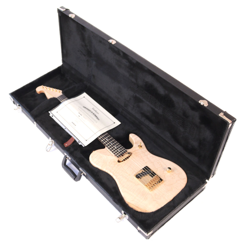 Washburn ワッシュバーン NELEDLX-D-U NELE DELUXE エレキギター ケース、付属品