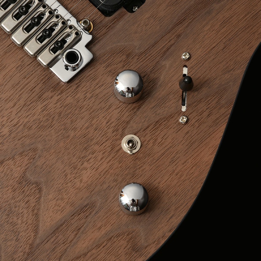 BACCHUS バッカス Japan Tune-up Series TACTICS24-WN RSM/M NAS エレキギター コントロール部画像