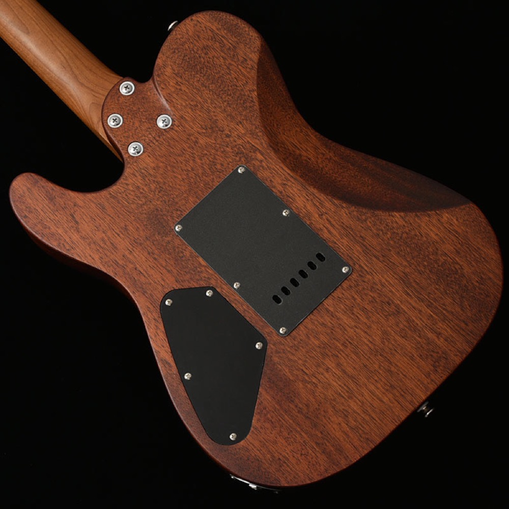 BACCHUS バッカス Japan Tune-up Series TACTICS24-SPM RSM/M NAS エレキギター ボディバック画像