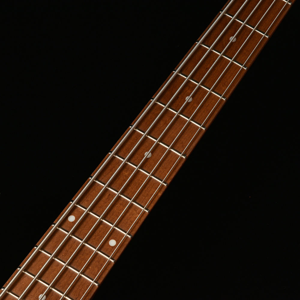 BACCHUS バッカス Japan Tune-up Series WL5-QM-AC RSM/M CHGS 5弦ベース エレキベース 指板画像