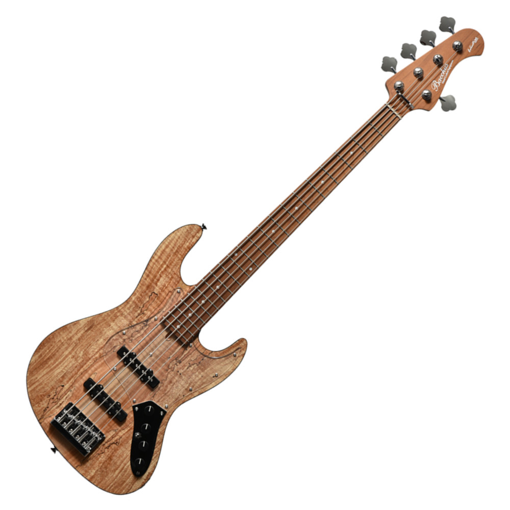 BACCHUS バッカス Japan Tune-up Series WL5-SPM-AC RSM/M NAS 5弦ベース エレキベース