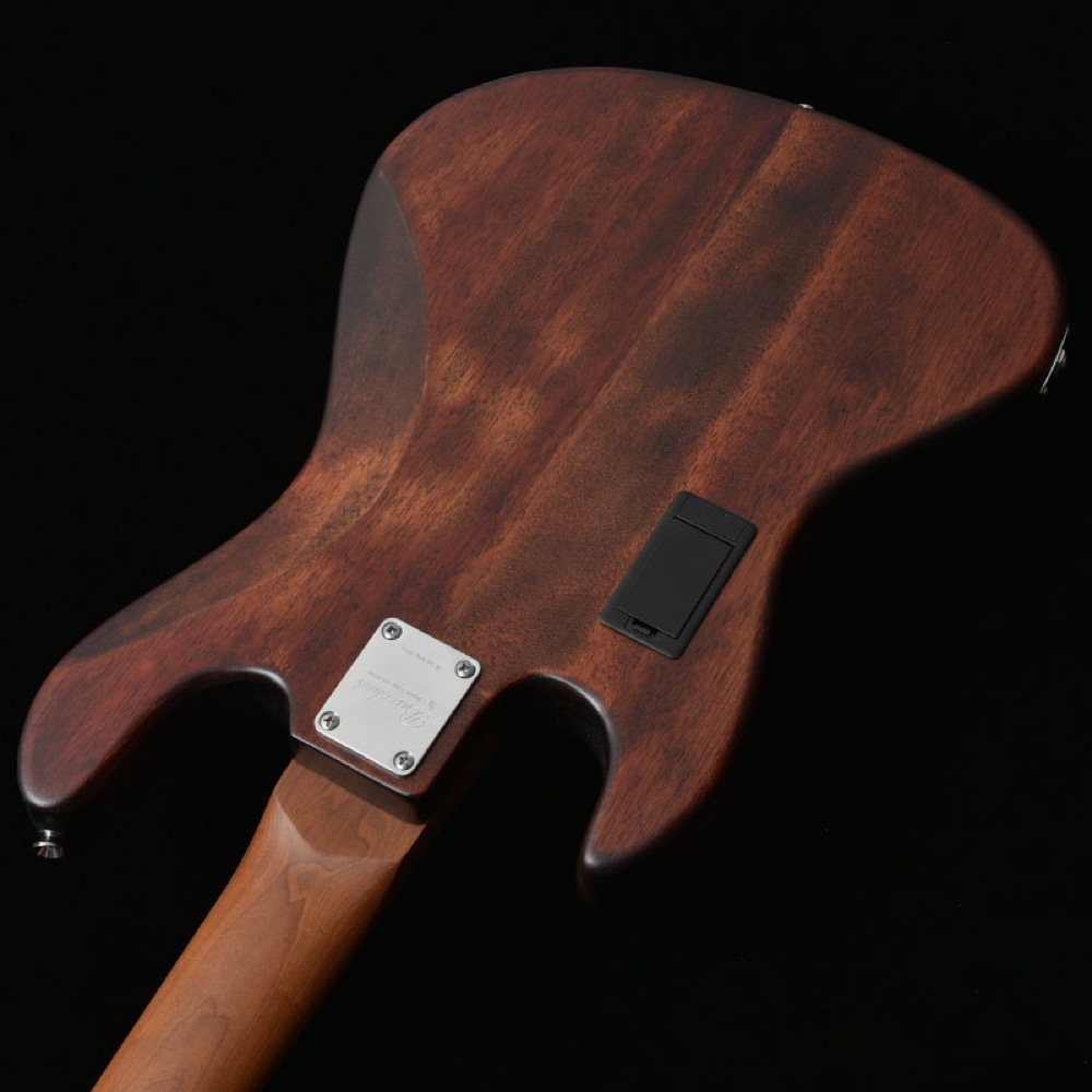 BACCHUS バッカス Japan Tune-up Series WL5-WN-AC RSM/M NAS 5弦ベース エレキベース バック