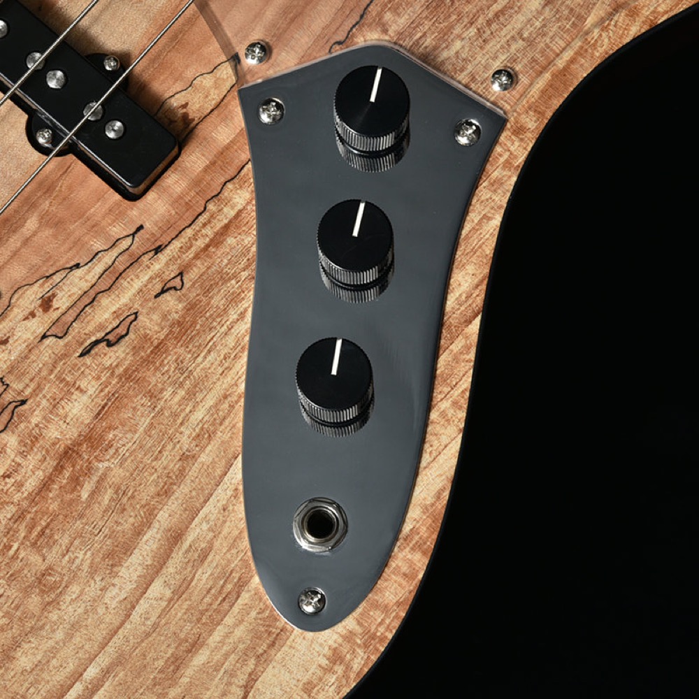 BACCHUS バッカス Japan Tune-up Series WL4-SPM RSM/M NAS エレキベース コントロール