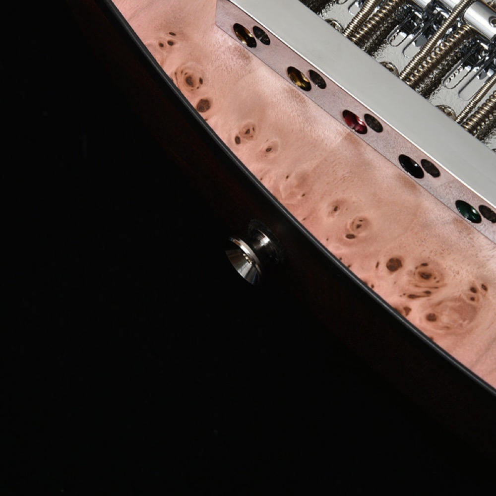 BACCHUS バッカス Japan Tune-up Series WL5-BP-AC/M SYP-BS-MH 5弦ベース エレキベース エンドピン