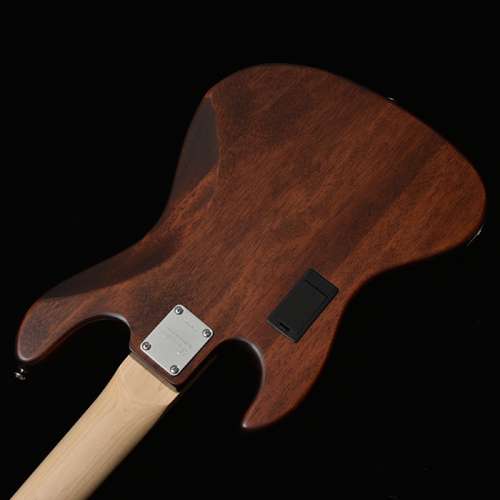 BACCHUS バッカス Japan Tune-up Series WL5-BP-AC/M SYP-BS-MH 5弦ベース エレキベース バック
