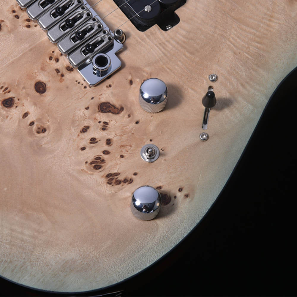 BACCHUS バッカス Japan Tune-up Series TACTICS24-BP/M KRB-BS-MH エレキギター コントロール画像