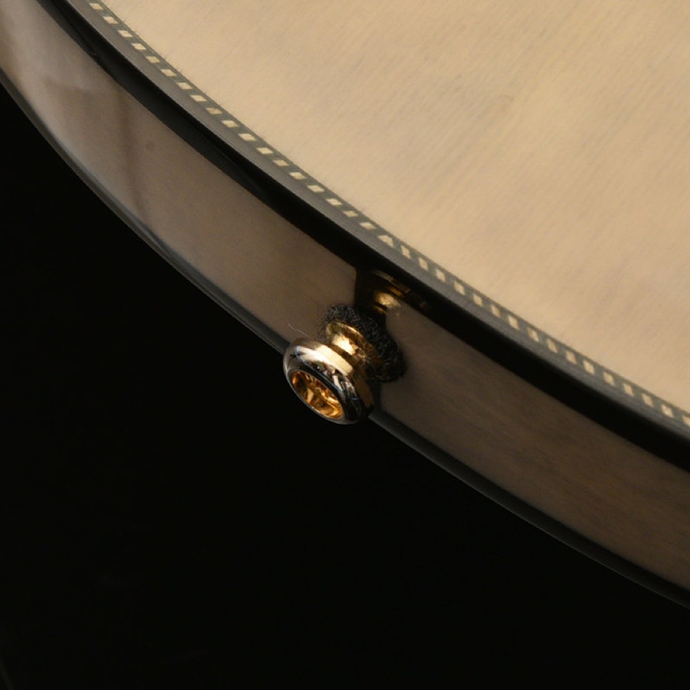 SeventySeven Guitars セブンティセブンギターズ EXRUBATO-JAZZ-JT W-BD セミアコースティックギター エレキギター セミアコ 77 エンドピン