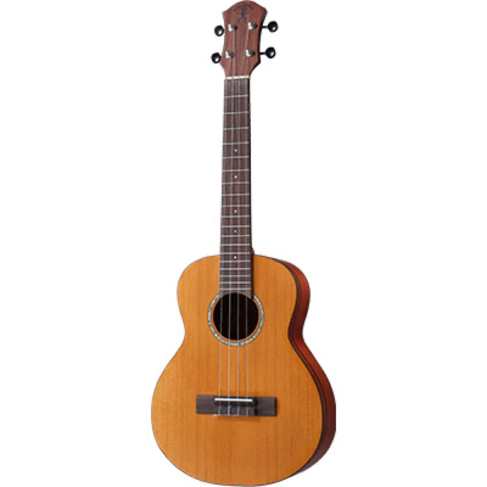 aNueNue aNN-T4Eピックアップ付き Solid Cedar Top テナーウクレレ シダー単板トップ Acacia(Taiwan Koa)バック＆サイド