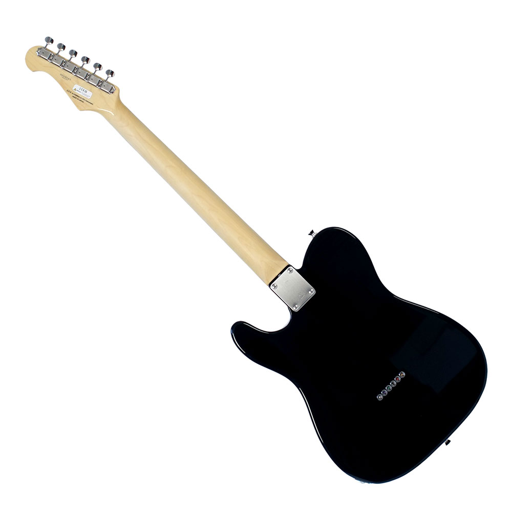 FUJIGEN フジゲン FGN Neo Classic NTE100RAL BK テレキャスタータイプ エレキギター 背面
