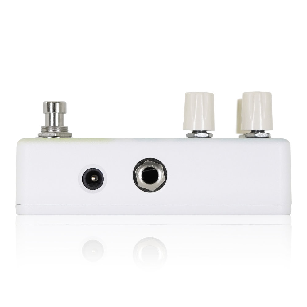 Animals Pedal アニマルズペダル Custom Illustrated RWD yung kai 03 wildflower ディレイ ギターエフェクター サイド