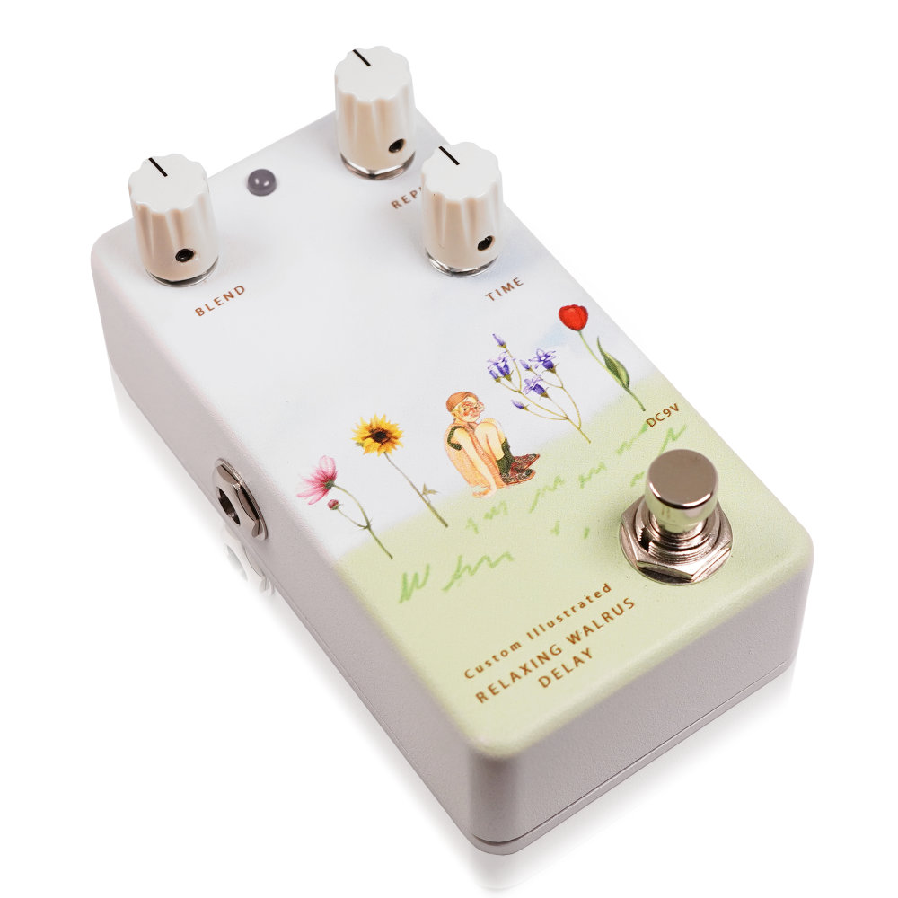 Animals Pedal アニマルズペダル Custom Illustrated RWD yung kai 03 wildflower ディレイ ギターエフェクター 全体