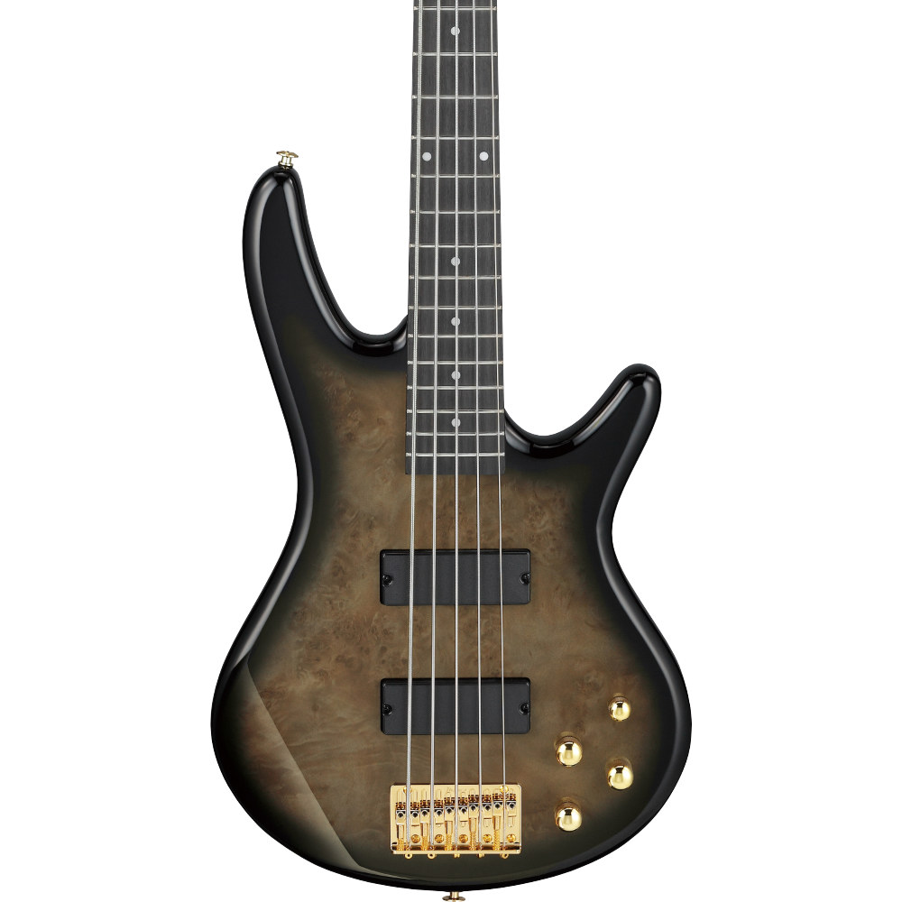 IBANEZ アイバニーズ GSR205PC-TPB Gio Transparent Pale Black Burst 5弦エレキベース ボディ画像
