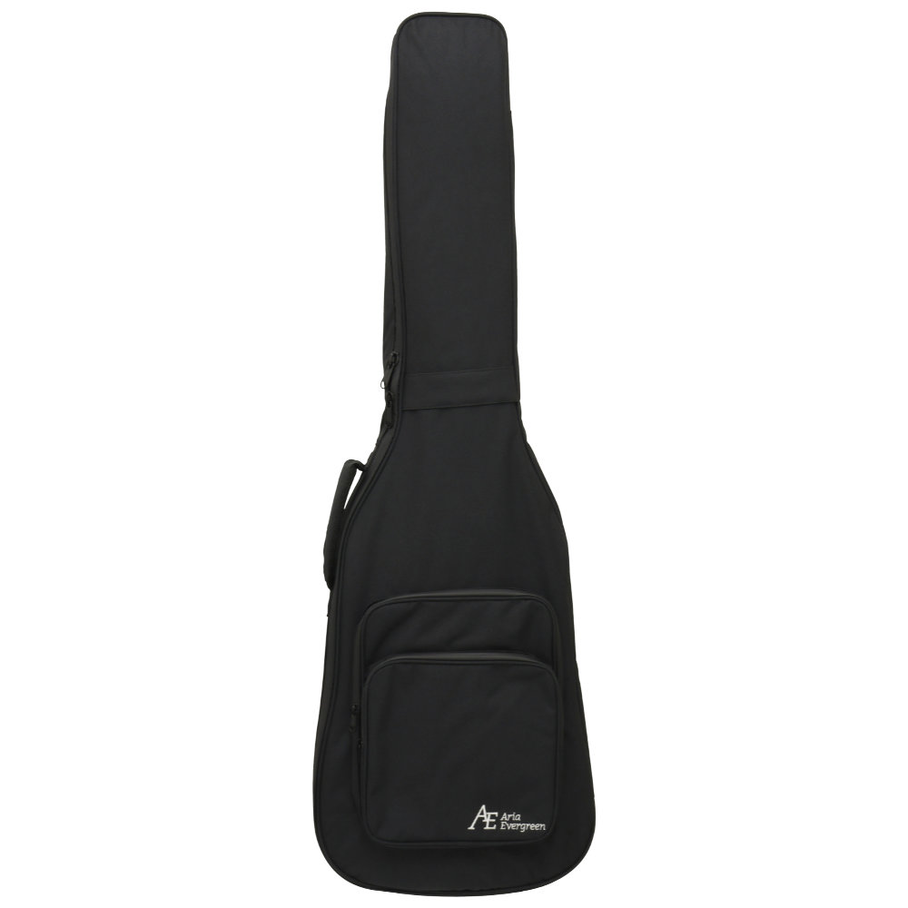 AriaProII STB-AE200 OPGR Aria Evergreen エレキベース ケース