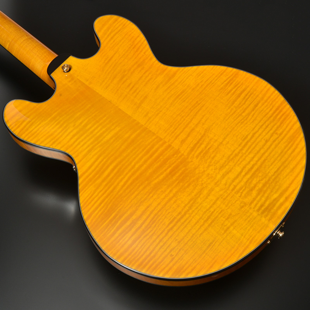 SeventySeven Guitars セブンティセブンギターズ EXRUBATO-ONE ANA フルアコースティックギター エレキギター フルアコ 77 ボディ部裏