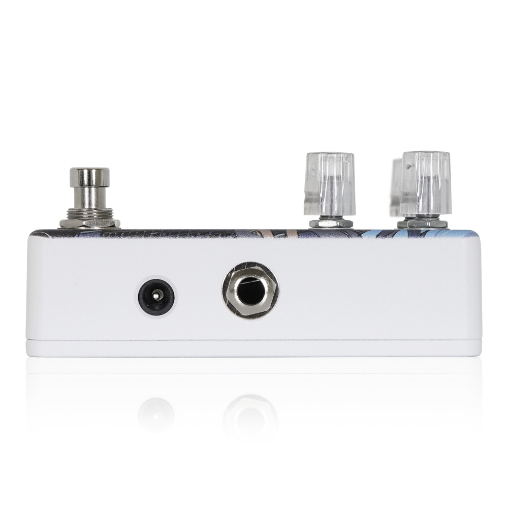 Animals Pedal アニマルズペダル Custom Illustrated RWD 数分間のエールを 織重 夕 #1 ディレイ ギターエフェクター サイド画像