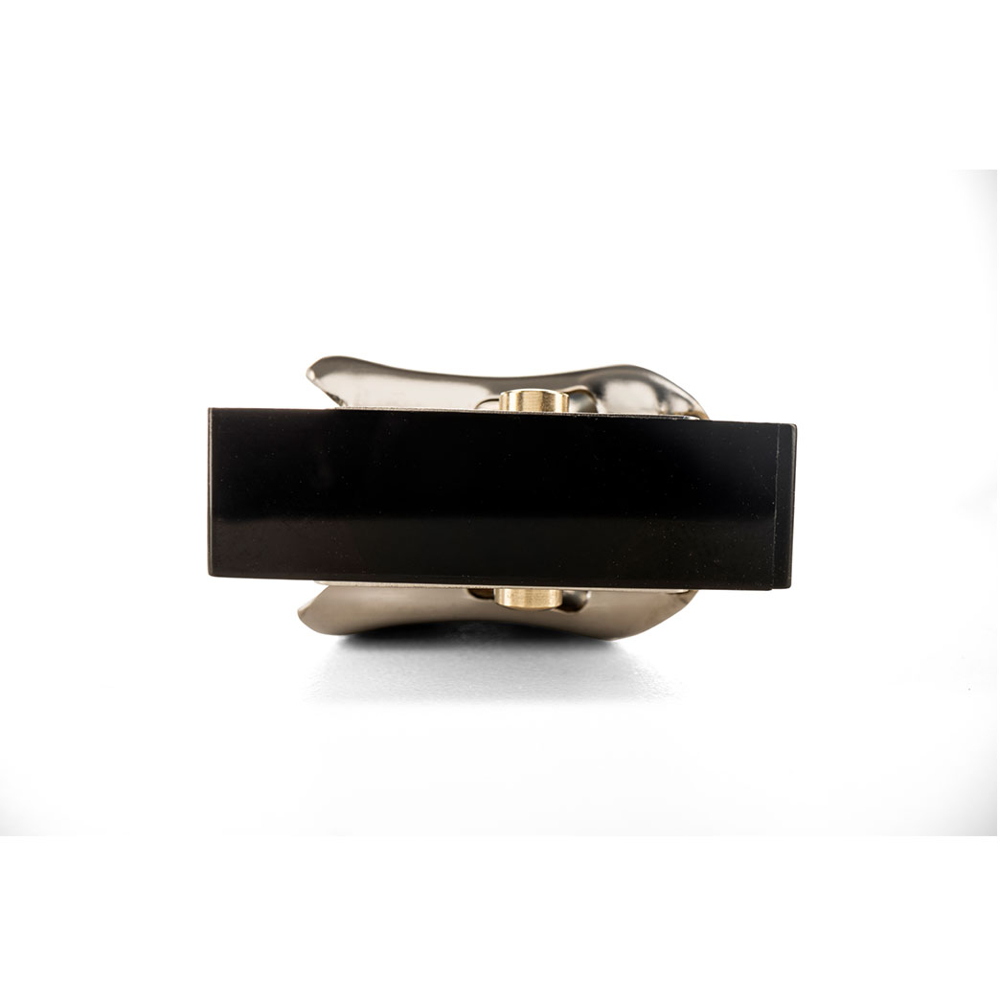 HOHNER ホーナー Big River Harp MS SERIES 590/20P A 10ホールハーモニカ ブルースハープ サイド