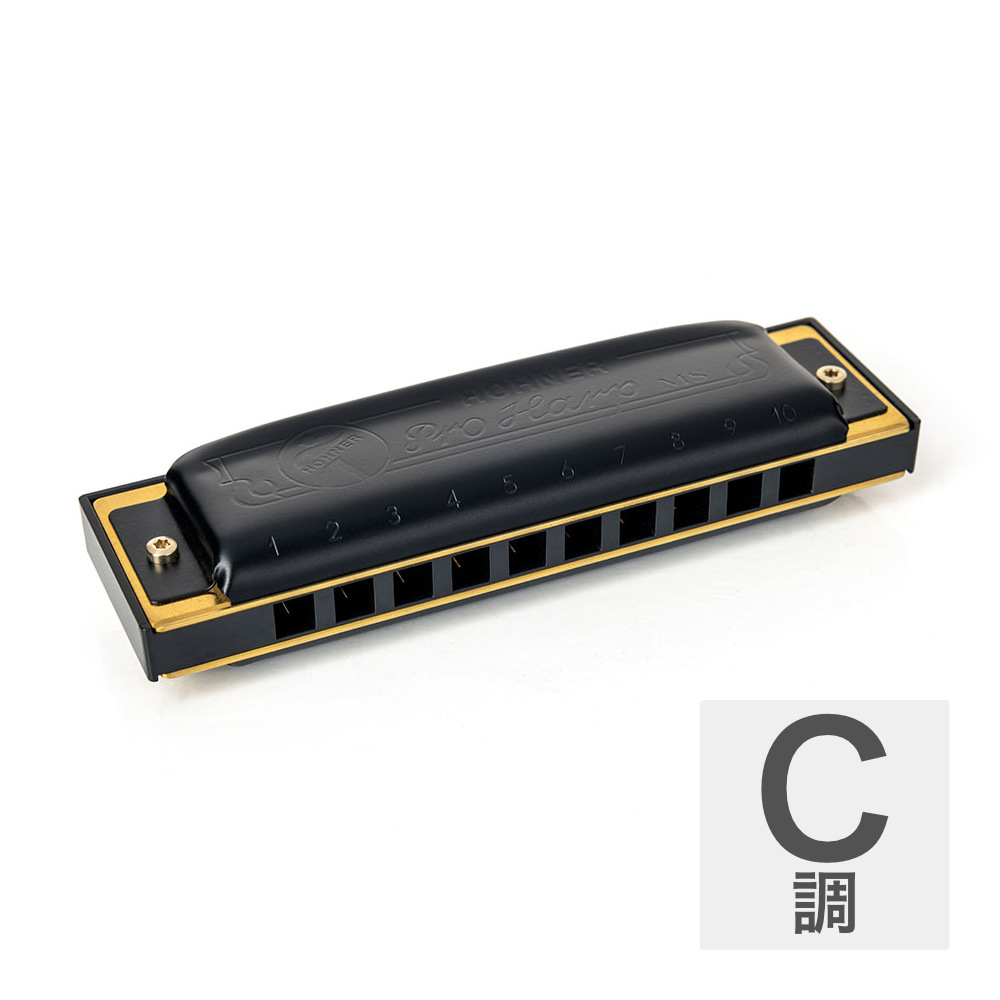 HOHNER ホーナー Pro Harp 562/20P C 10ホールハーモニカ ブルースハープ
