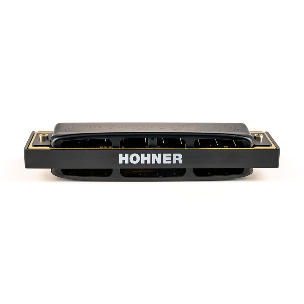 HOHNER ホーナー Pro Harp 562/20P C 10ホールハーモニカ ブルースハープ リア画像