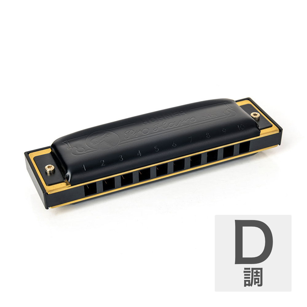 HOHNER ホーナー Pro Harp 562/20P D 10ホールハーモニカ ブルースハープ