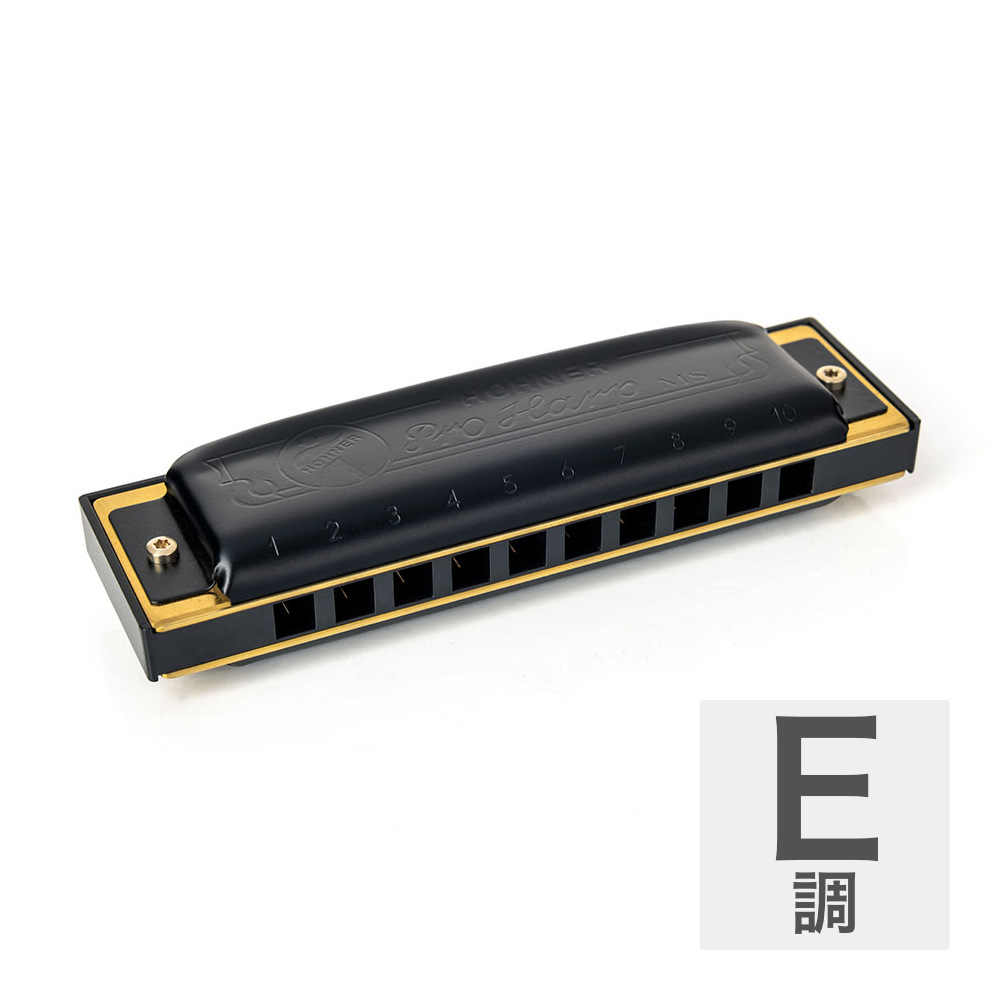 HOHNER ホーナー Pro Harp 562/20P E 10ホールハーモニカ ブルースハープ