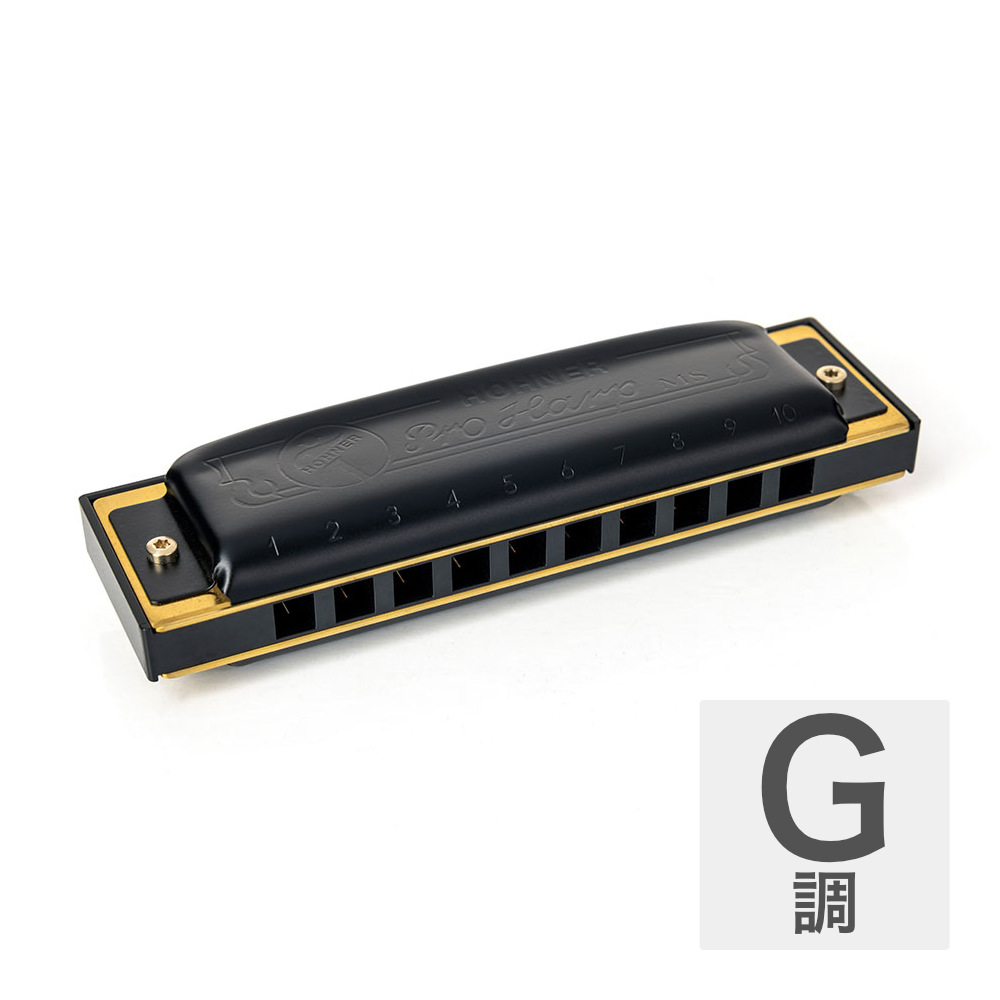HOHNER ホーナー Pro Harp 562/20P G 10ホールハーモニカ ブルースハープ