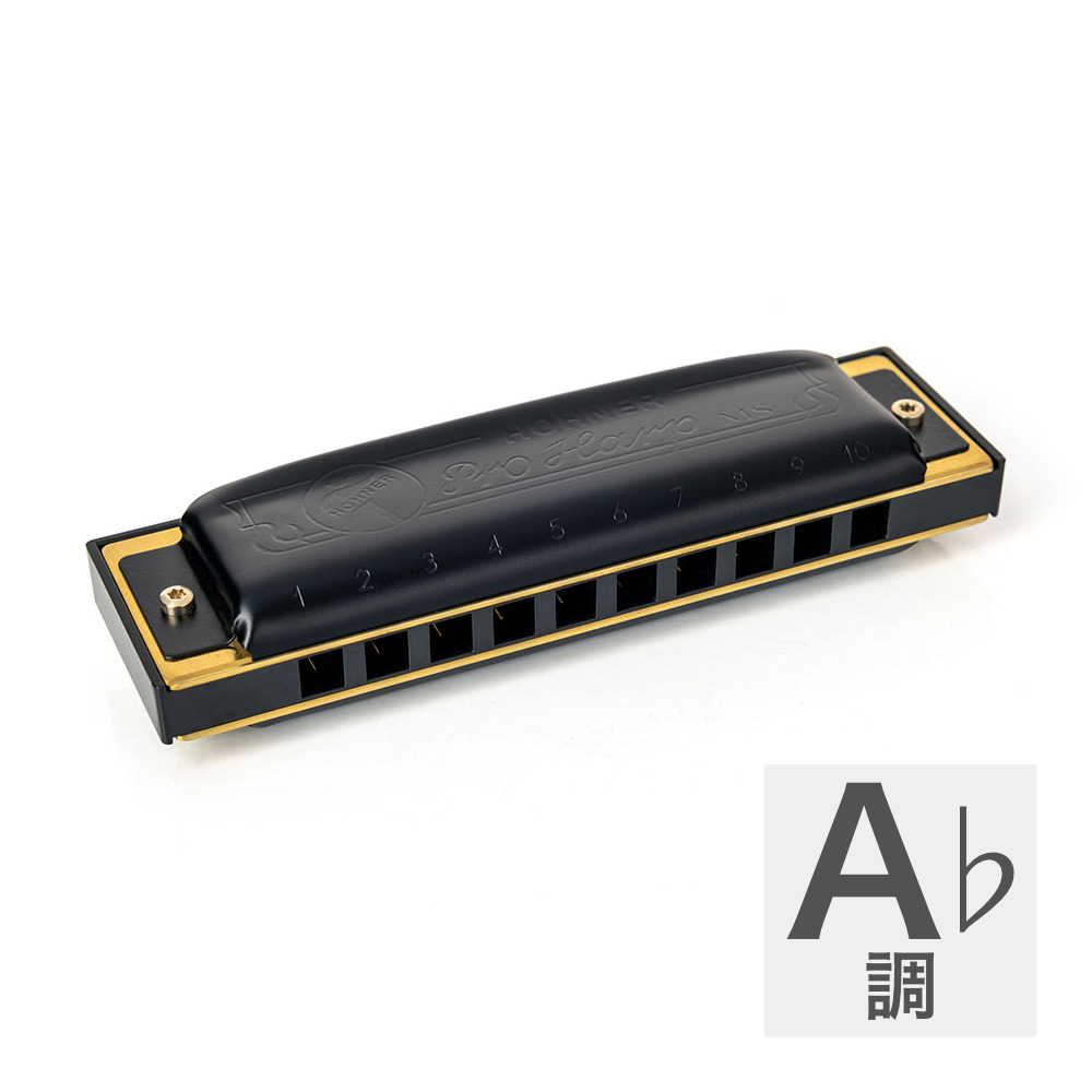 HOHNER ホーナー Pro Harp 562/20P A♭ 10ホールハーモニカ ブルースハープ