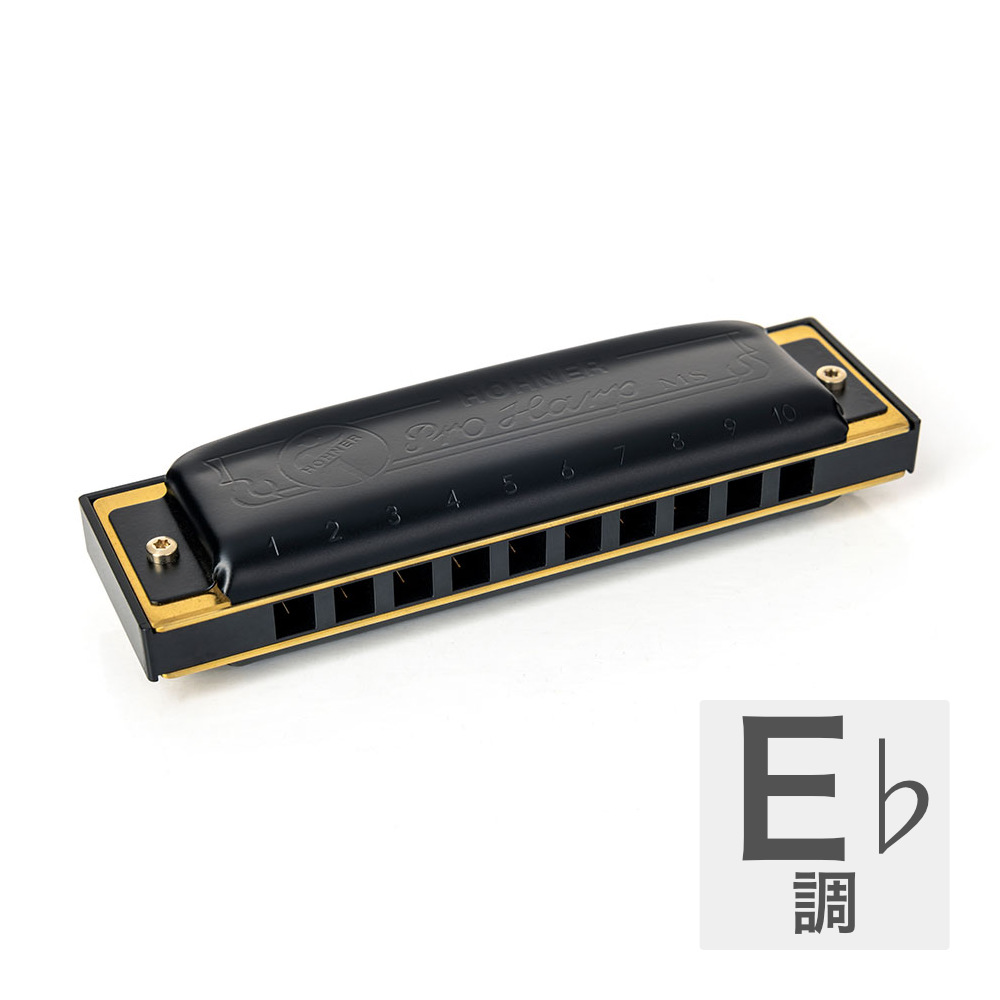HOHNER ホーナー Pro Harp 562/20P E♭ 10ホールハーモニカ ブルースハープ