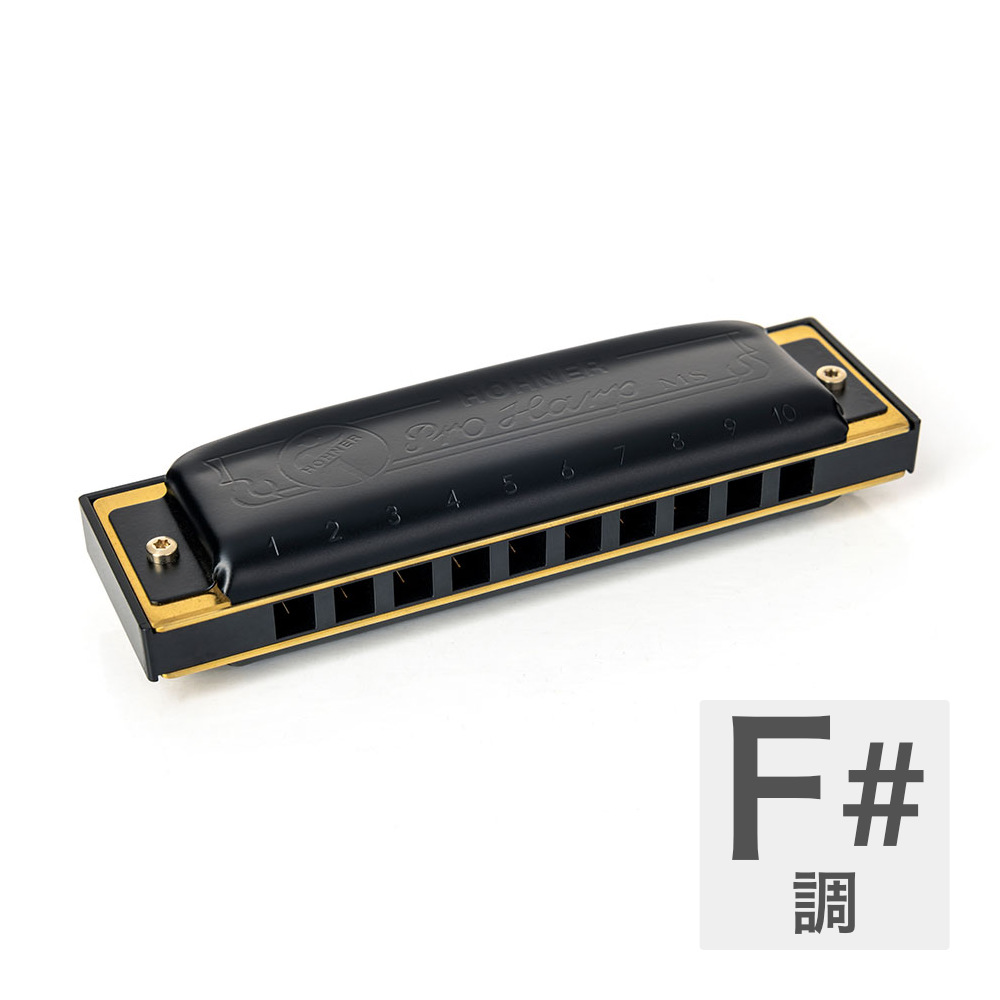 HOHNER ホーナー Pro Harp 562/20P F# 10ホールハーモニカ ブルースハープ