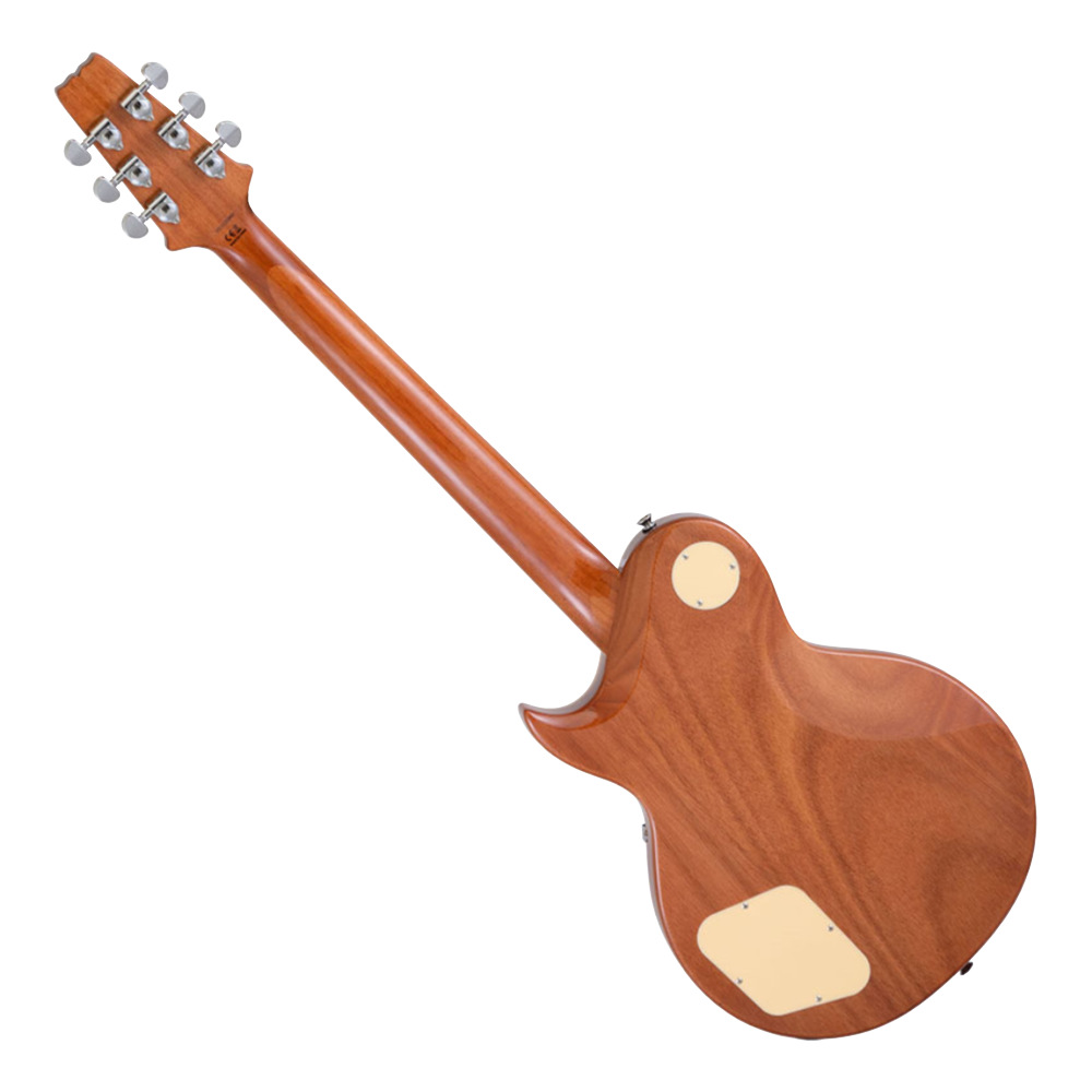 AriaProII アリアプロII PE-AE200 MBWH Aria Evergreen エレキギター バック画像