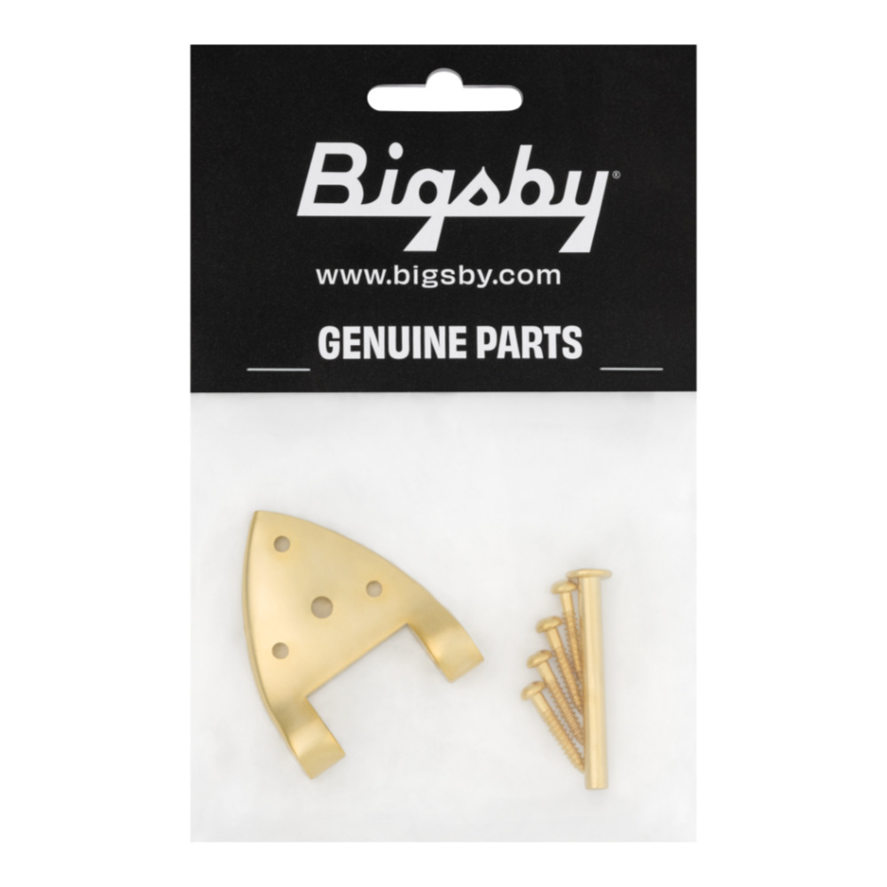 BIGSBY ビグスビー B3/6C Gretsch Hinge with Hinge Pin and Screws Gold トレモロユニット用ヒンジ パッケージ画像