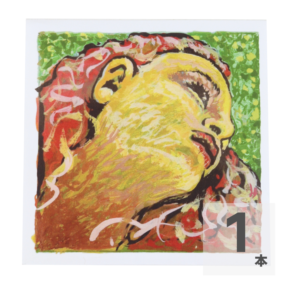 エヴァピラッツィ　ネオ PIRASTRO ピラストロ Evah Pirazzi NEO ＃41B221 A線 Synthetic