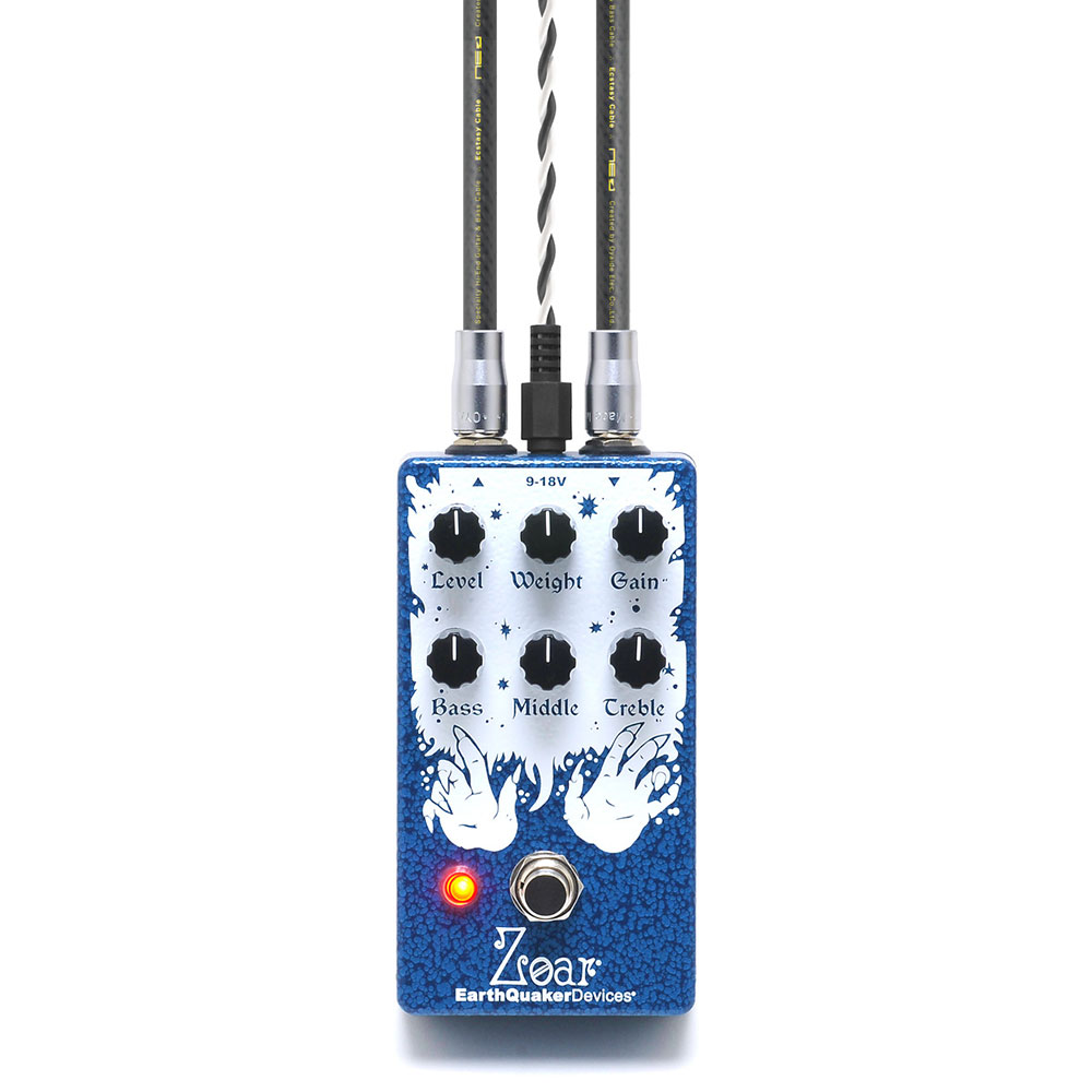 NEO by OYAIDE Elec DC-3398 SS 0.5m DCケーブル 使用例