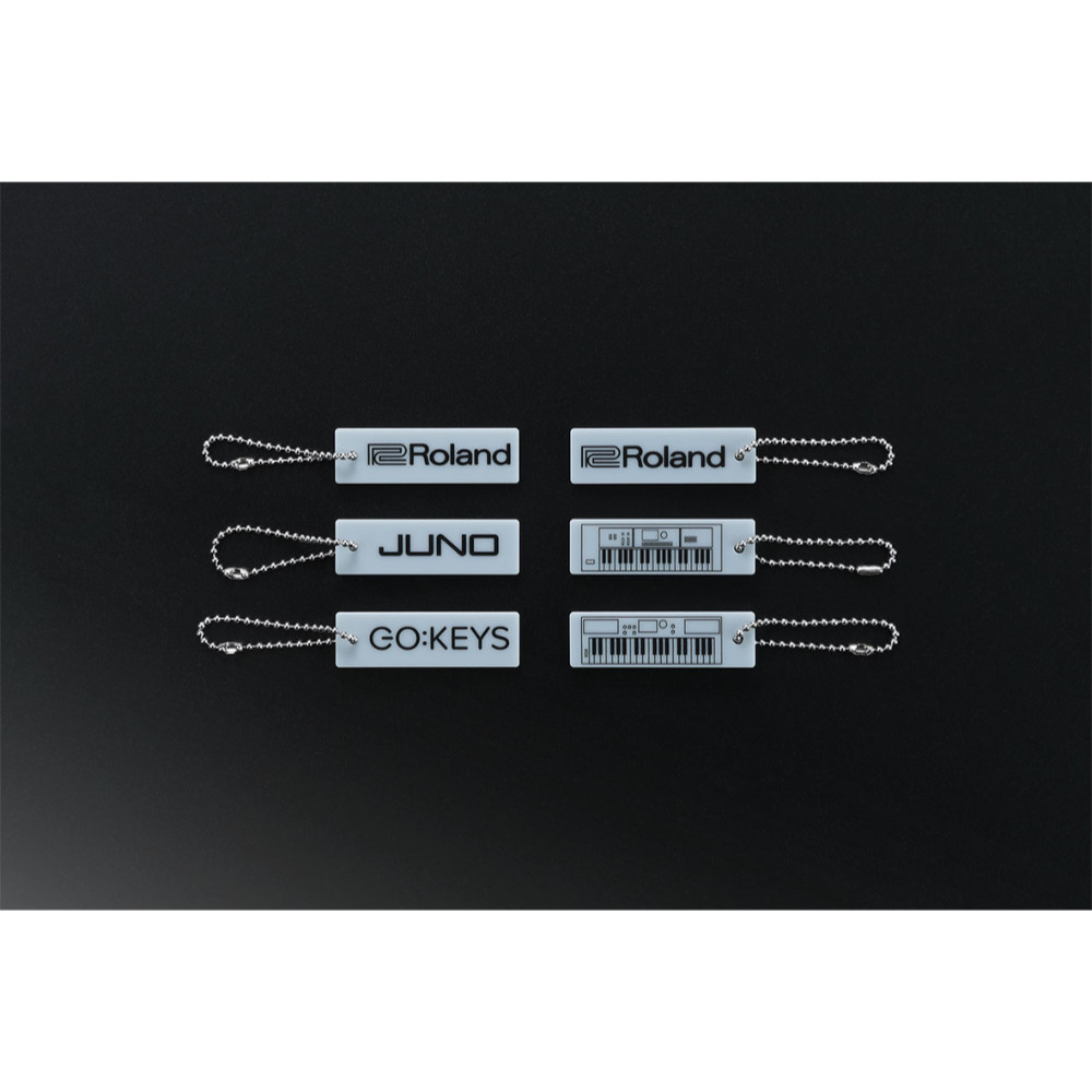 キーボードケース ROLAND CB-V61 GO:KEYS3 GO:KEYS5 JUNO-D6などに対応する61鍵盤用キーボードケース 付属プレート画像