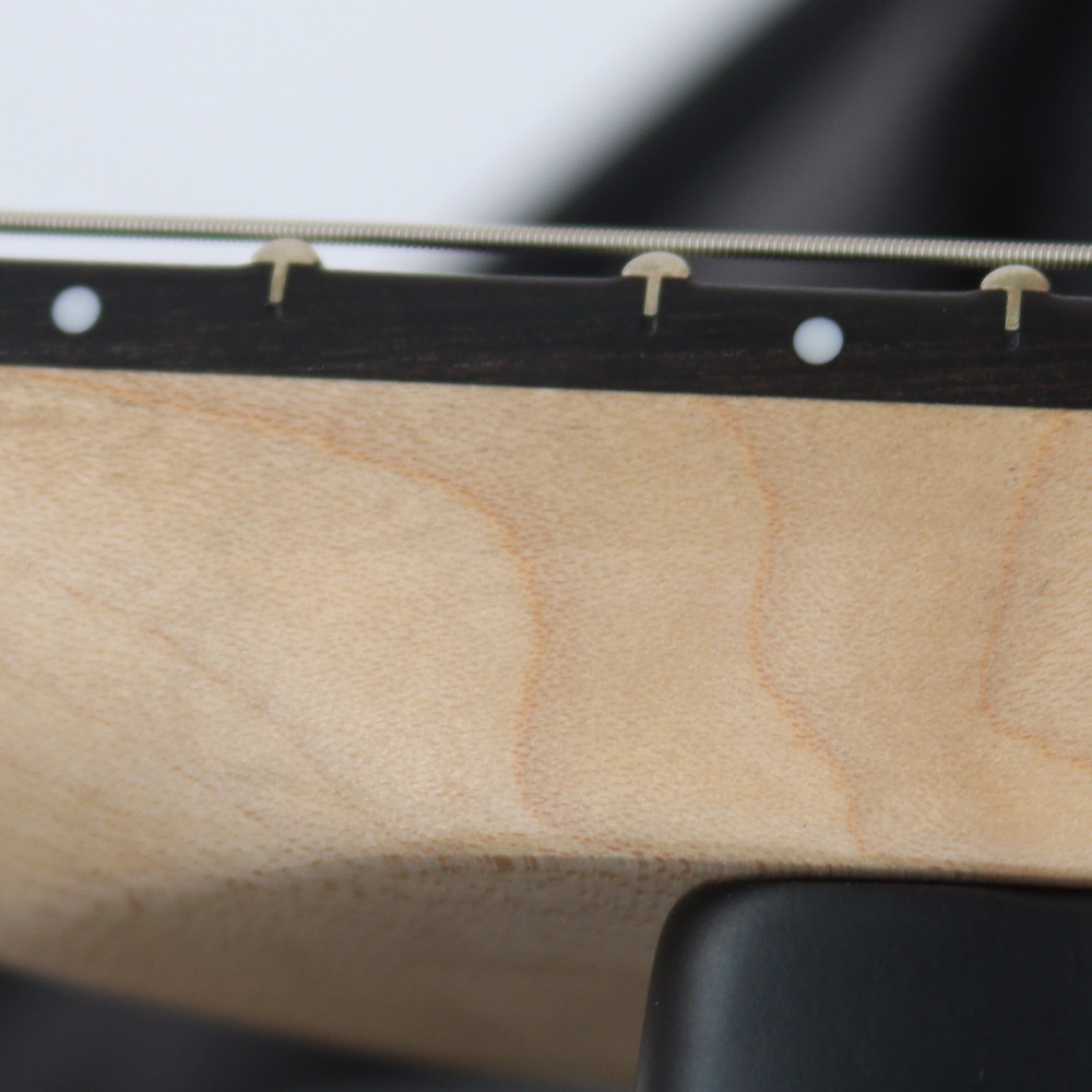 【訳あり】 EVH Limited Edition Star Ebony Fingerboard Stealth Black with Gold Hardware エレキギター アウトレット ネック汚れ