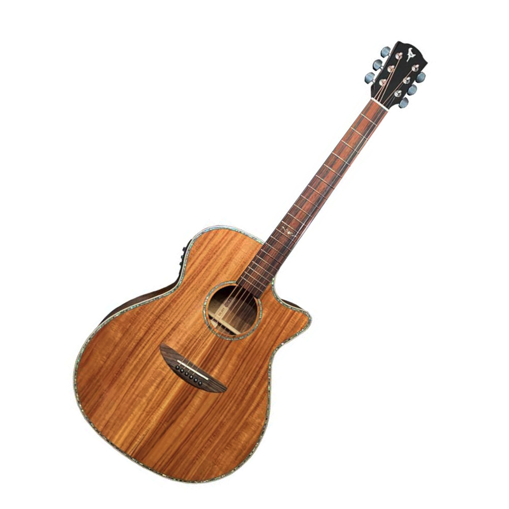 DCT GR-645K CE エレクトリックアコースティックギター